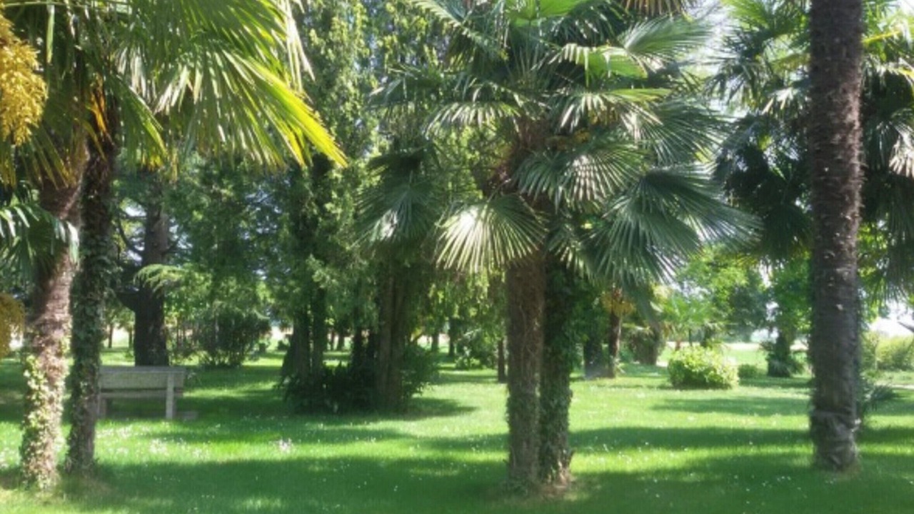 Photo of Outdoor in Palazzolo dello Stella