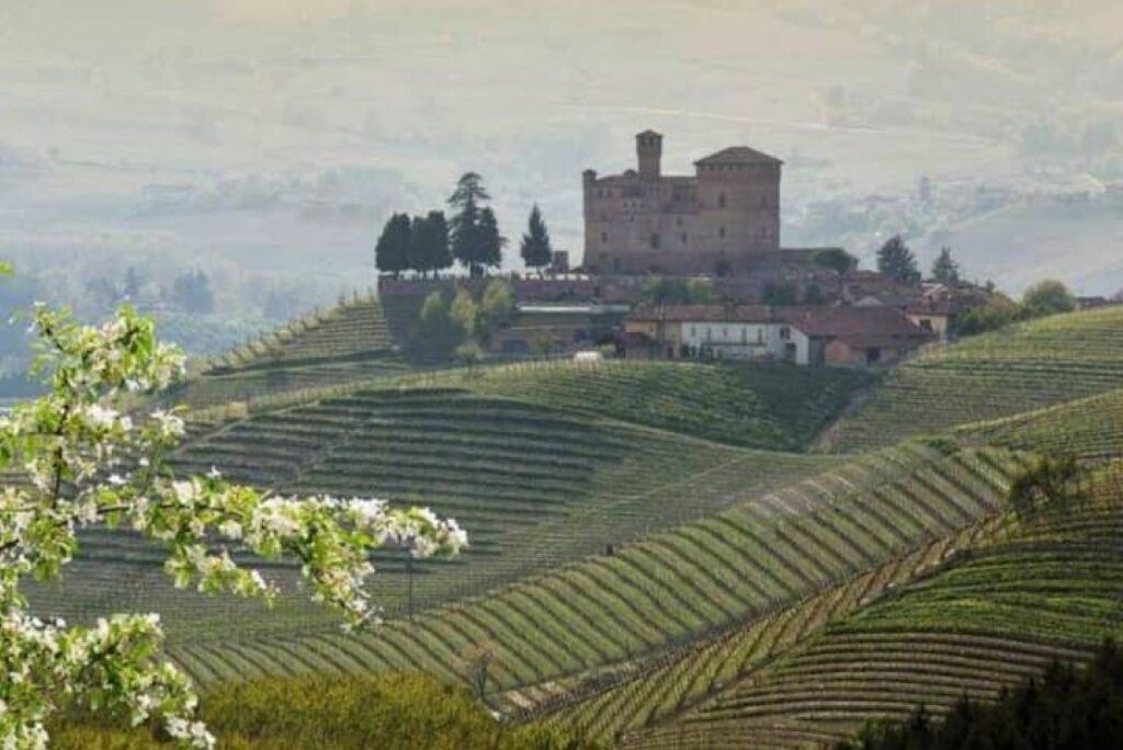 Photo of Others in Diano d'Alba