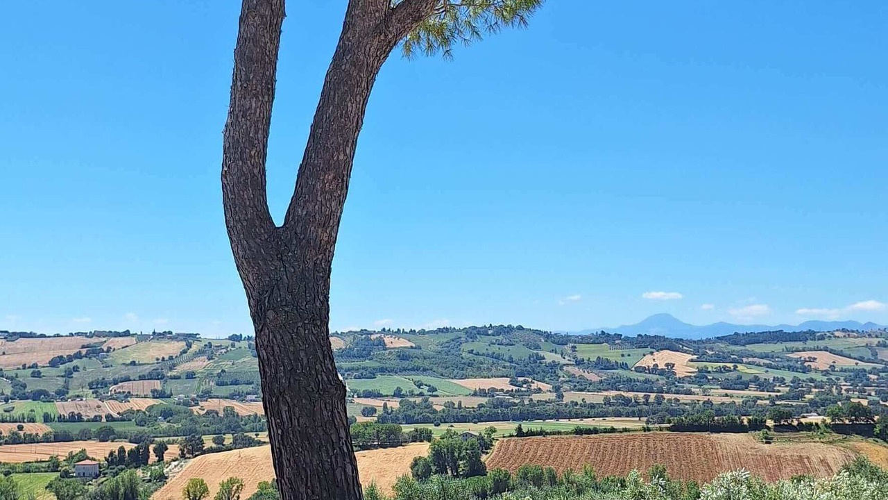Photo of Outdoor in Monte Porzio