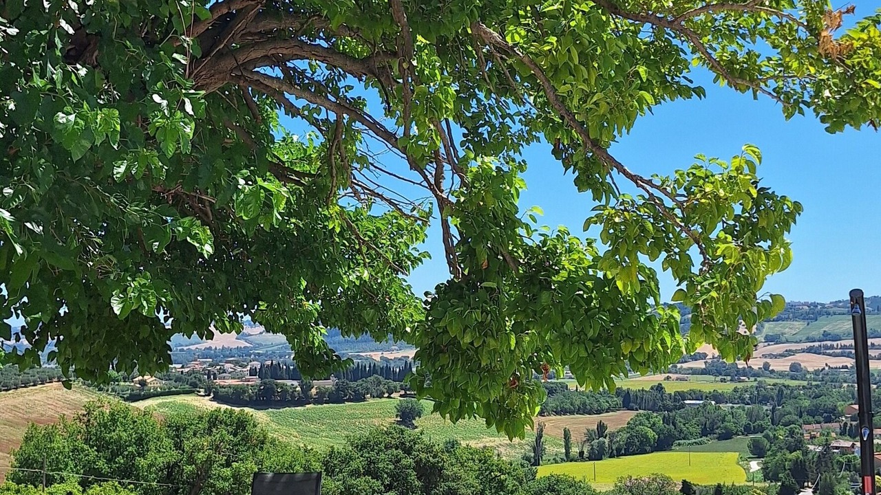 Photo of Outdoor in Monte Porzio