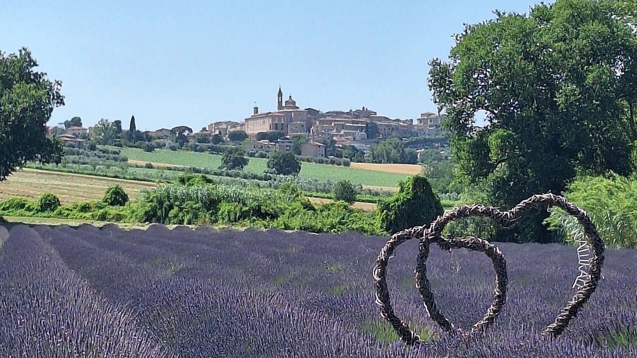 Photo of Others in Monte Porzio