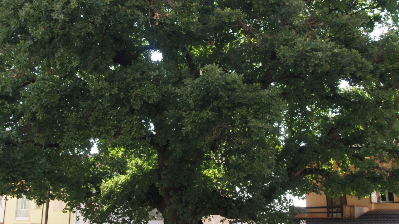 Photo of Outdoor in Lama dei Peligni