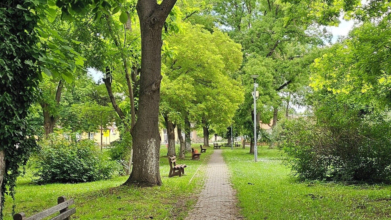 Photo of Others in Odzaci