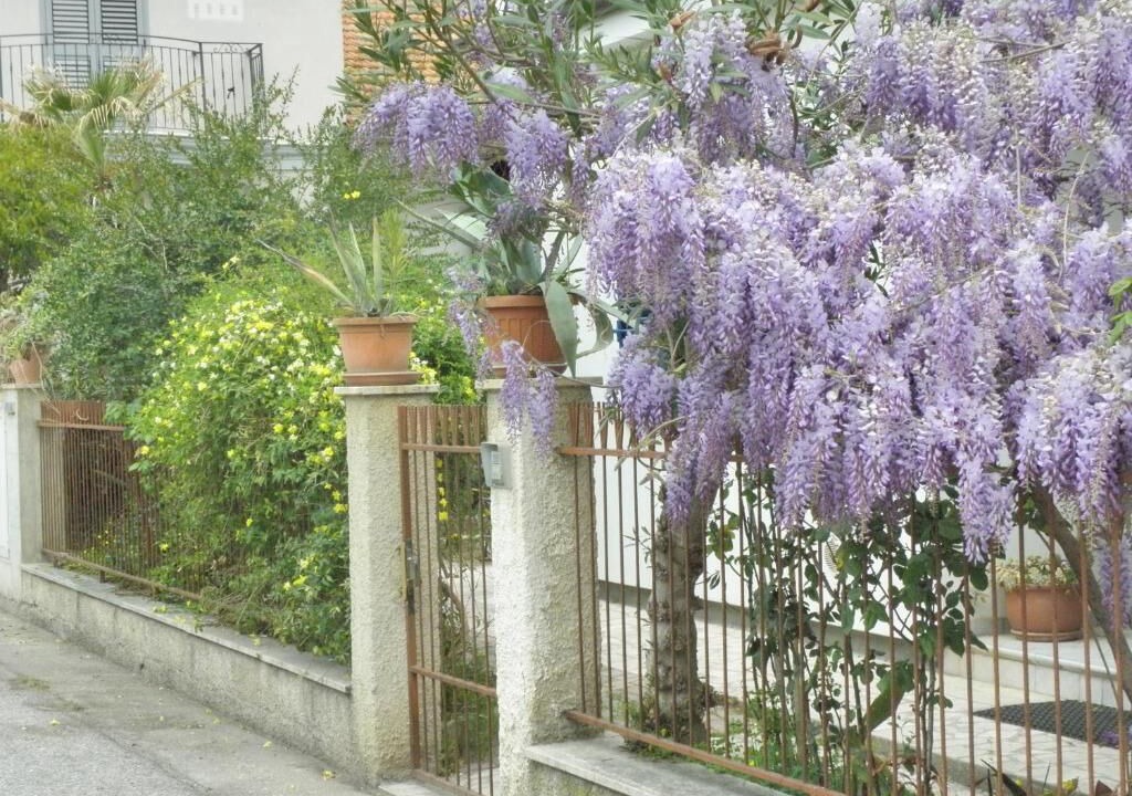 Photo of Outdoor in Giulianova
