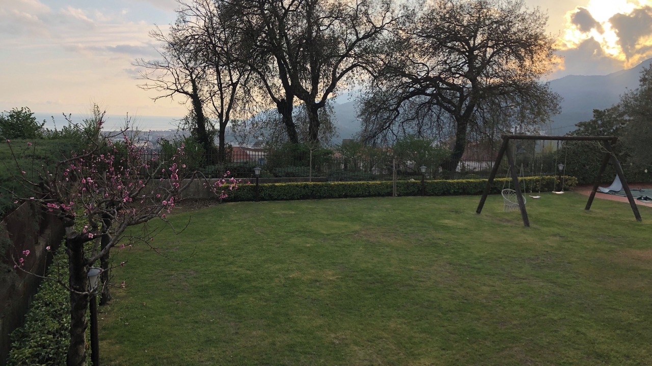 Photo of Others in Ogliara