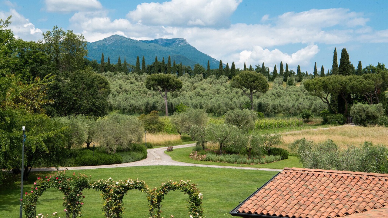 Photo of Others in Puegnago del Garda