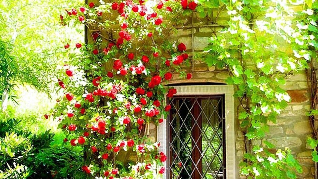 Photo of Outdoor in Caprese Michelangelo