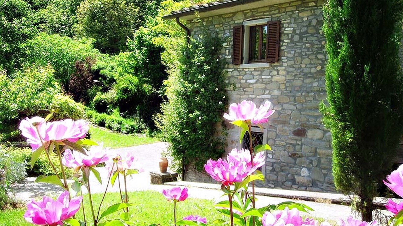 Photo of Outdoor in Caprese Michelangelo