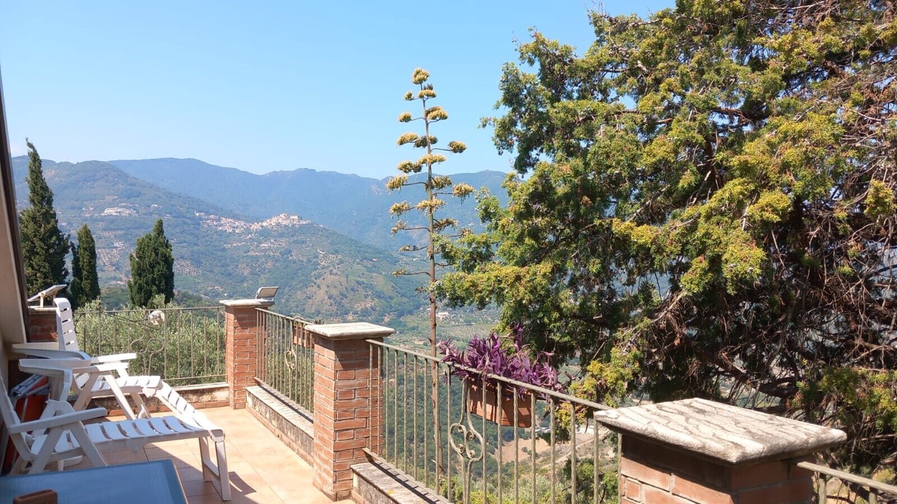 Photo of Outdoor in Patti