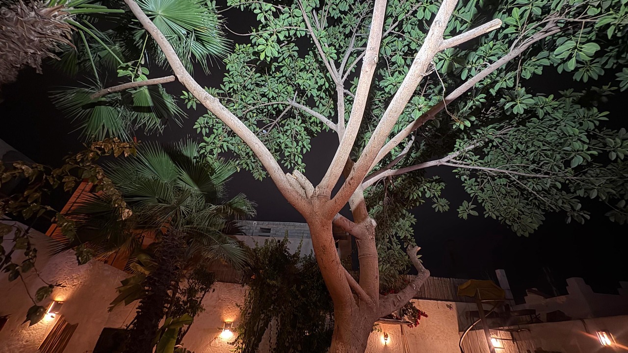 Photo of Outdoor in Mirleft