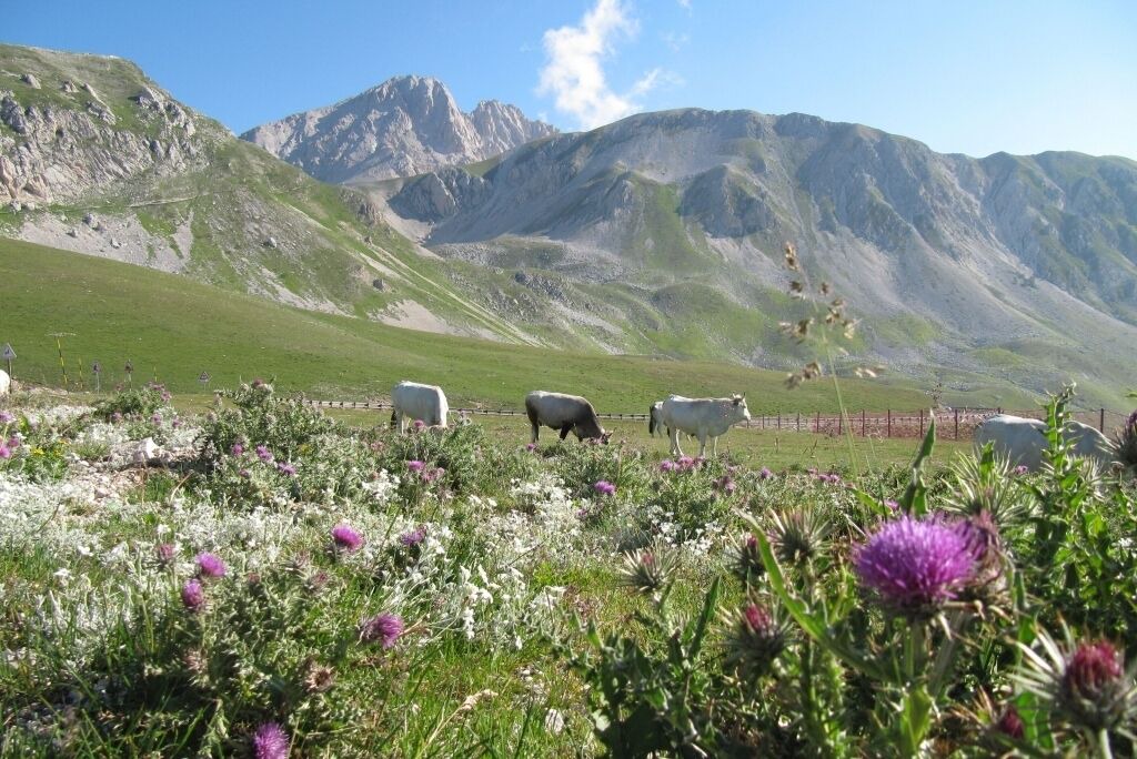 Photo of Others in Montebello di Bertona