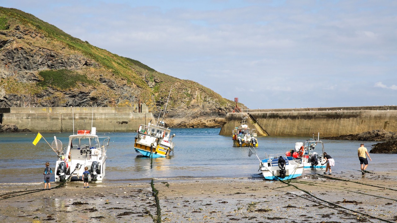 Photo of Others in Port Isaac