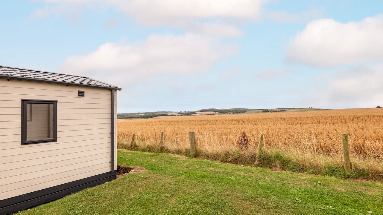 Photo of Outdoor in Strathkinness