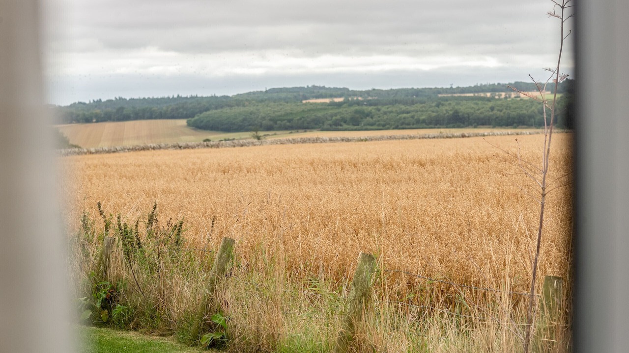 Photo of Others in Strathkinness