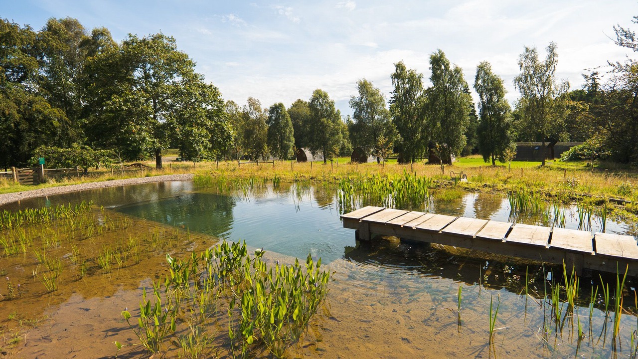 Photo of Outdoor in Leven