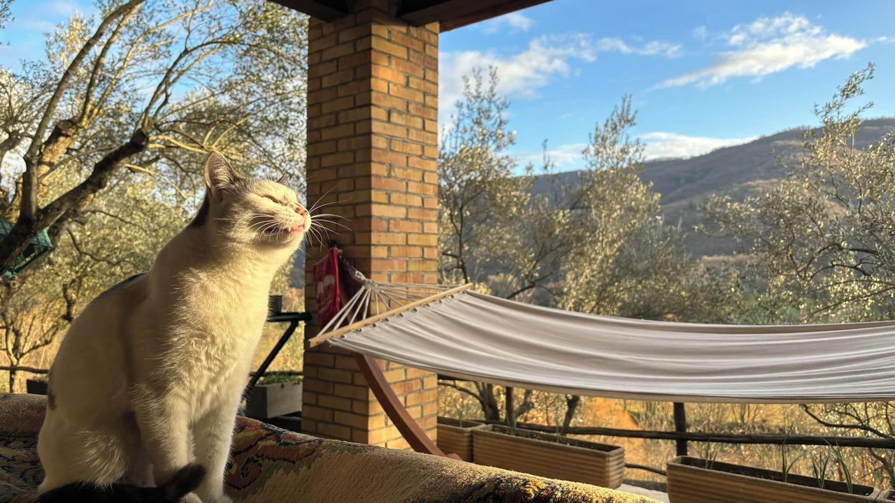 Photo of Outdoor in Cittaducale