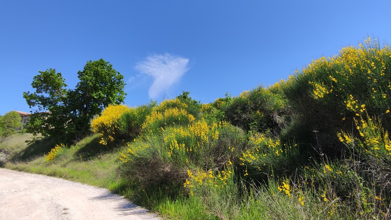 Photo of Outdoor in Gubbio