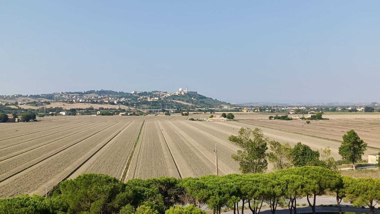 Photo of Others in Porto Recanati