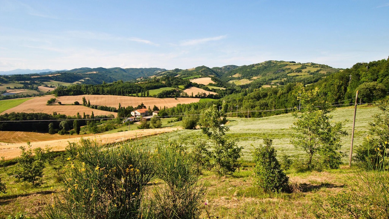 Photo of Others in Nerbisci