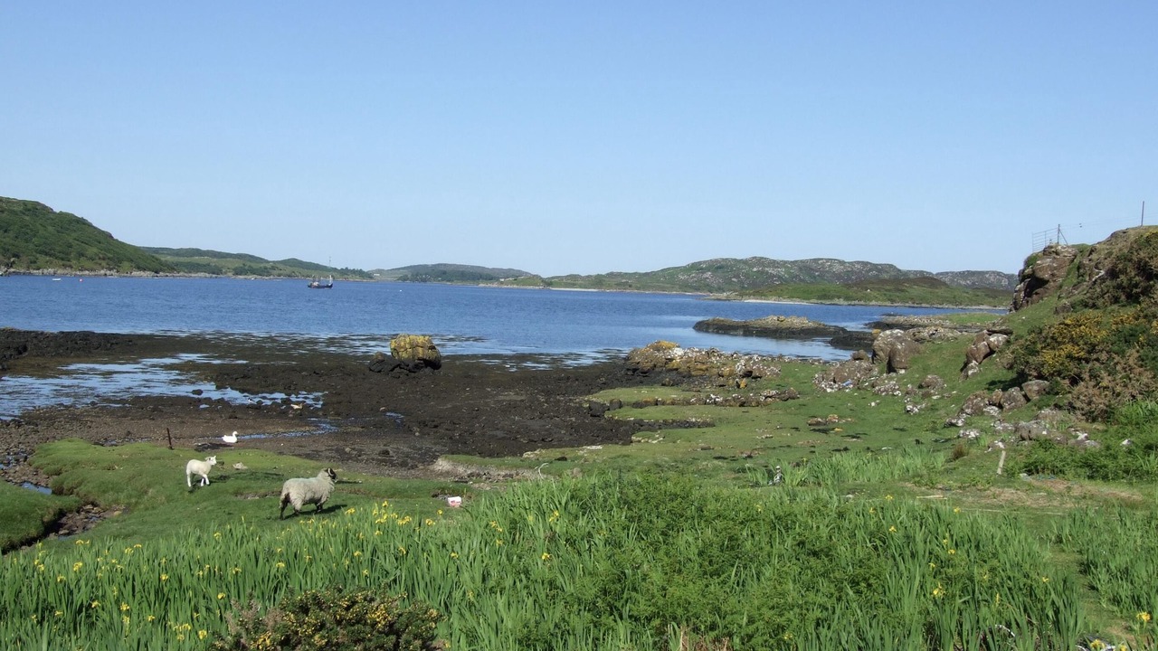 Photo of Others in Bunessan