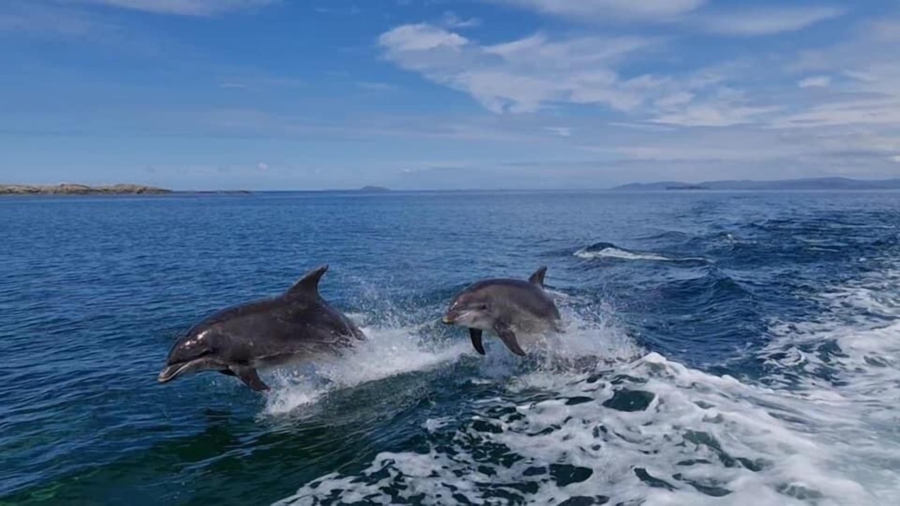Photo of Others in Bunessan
