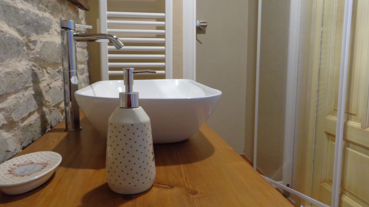 Photo of Bathroom in Mango