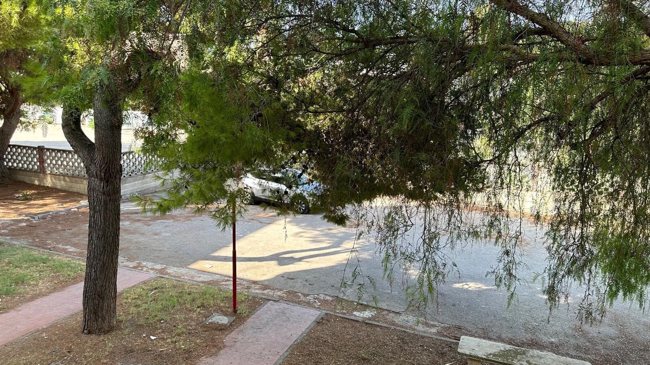 Photo of Outdoor in Manfredonia