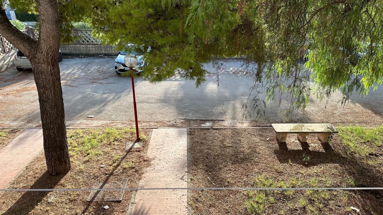 Photo of Outdoor in Manfredonia