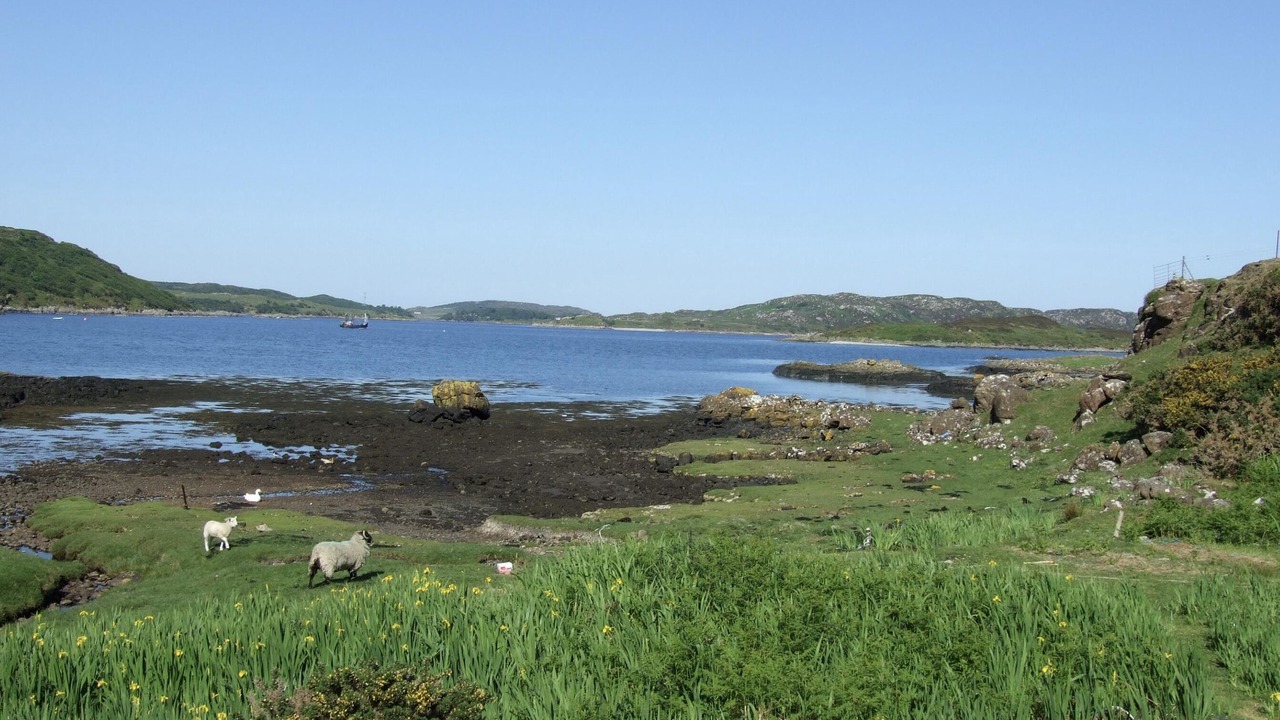 Photo of Others in Bunessan