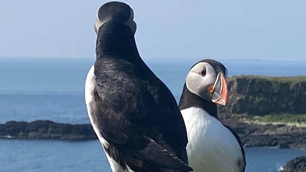 Photo of Others in Bunessan