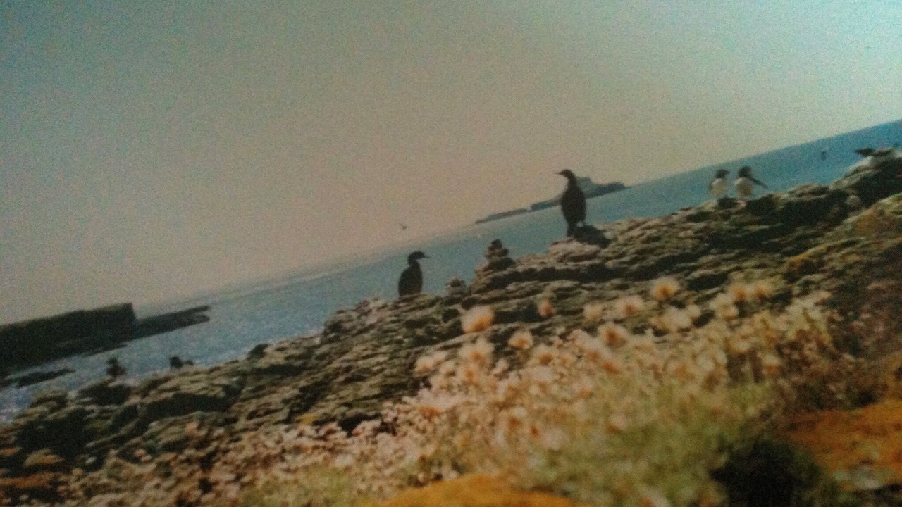 Photo of Others in Bunessan
