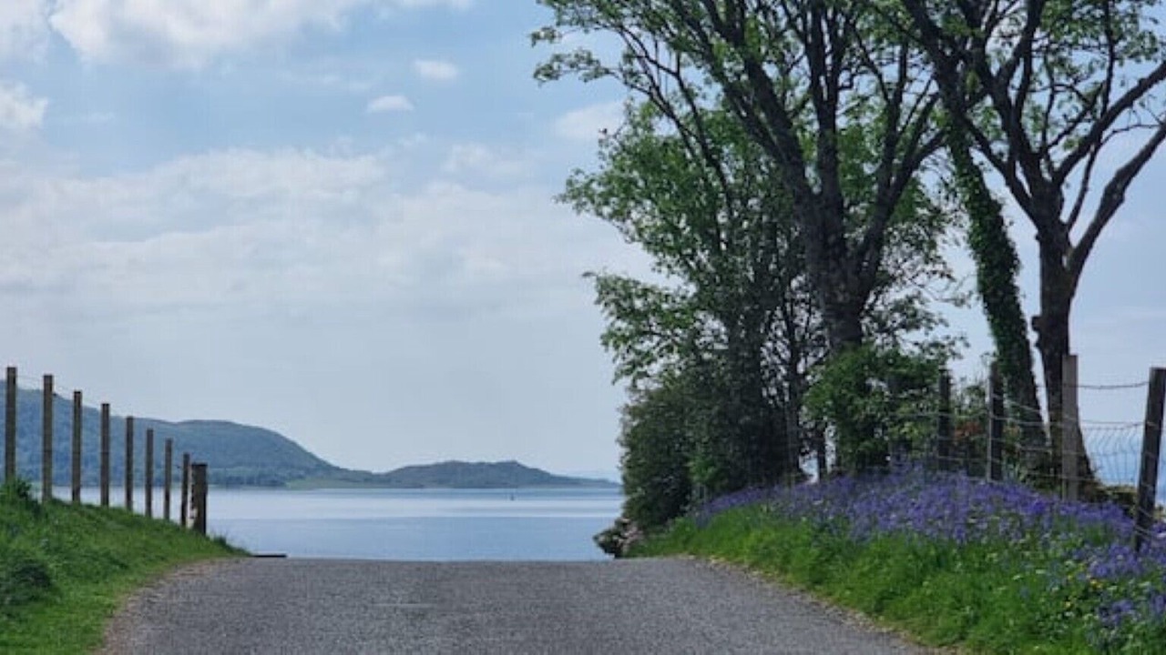 Photo of Others in West Laroch