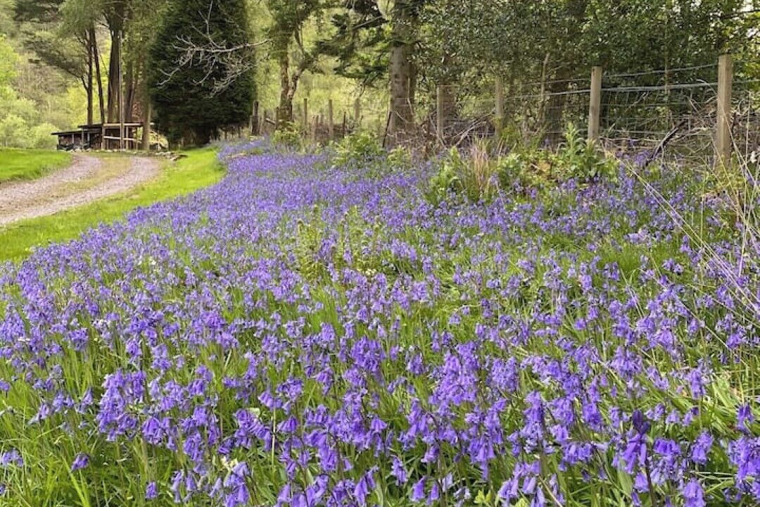 Photo of Outdoor in West Laroch