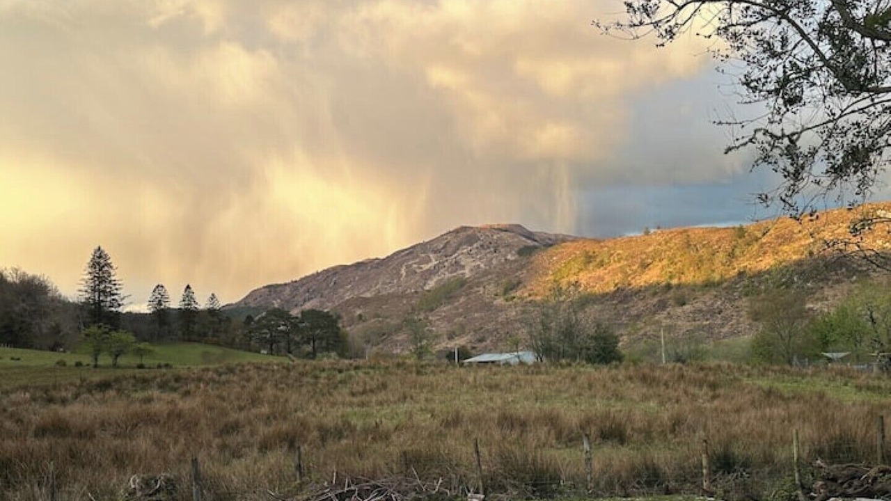 Photo of Others in West Laroch
