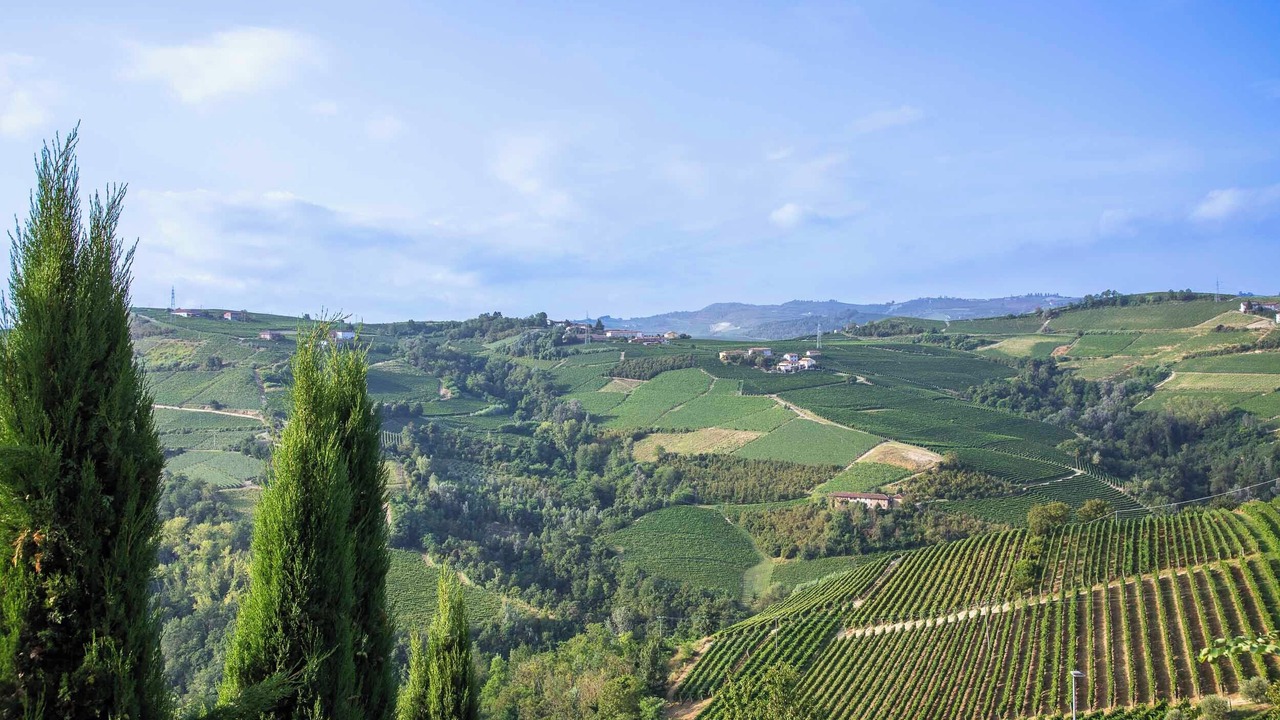 Photo of Outdoor in Santo Stefano Belbo