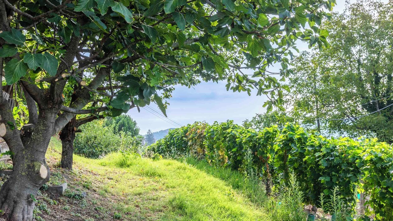 Photo of Outdoor in Santo Stefano Belbo