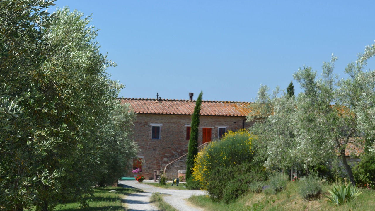 Photo of Outdoor in Torre A Castello