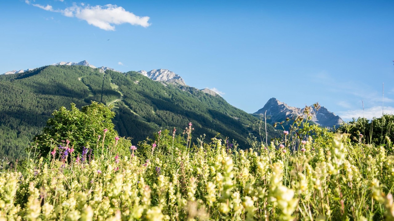 Photo of Others in Bardonecchia