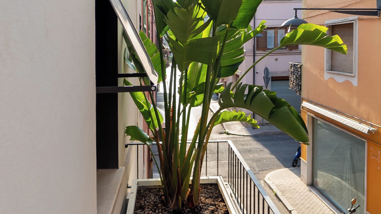 Photo of Outdoor in San Benedetto del Tronto