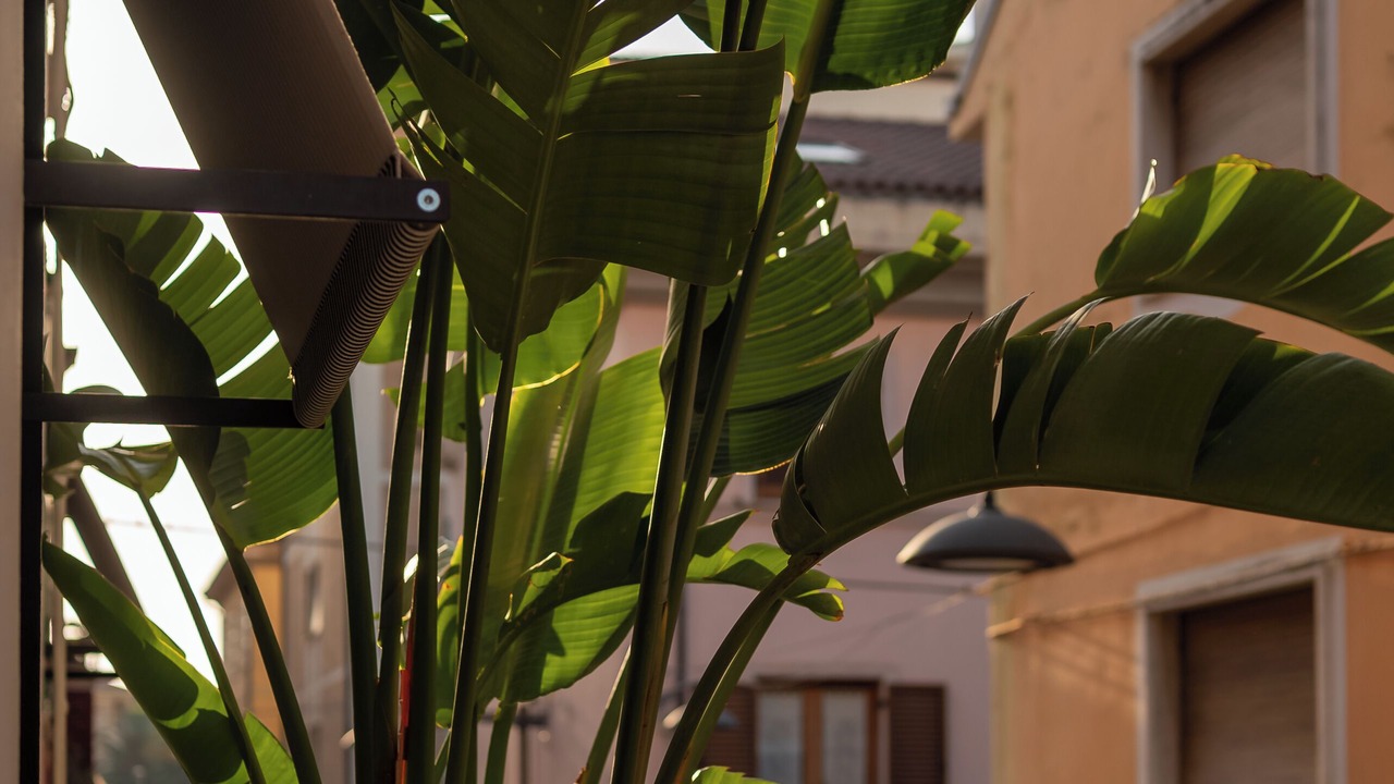 Photo of Outdoor in San Benedetto del Tronto