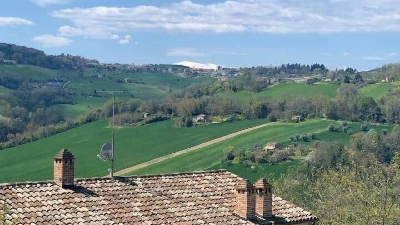 Photo of Others in Petritoli