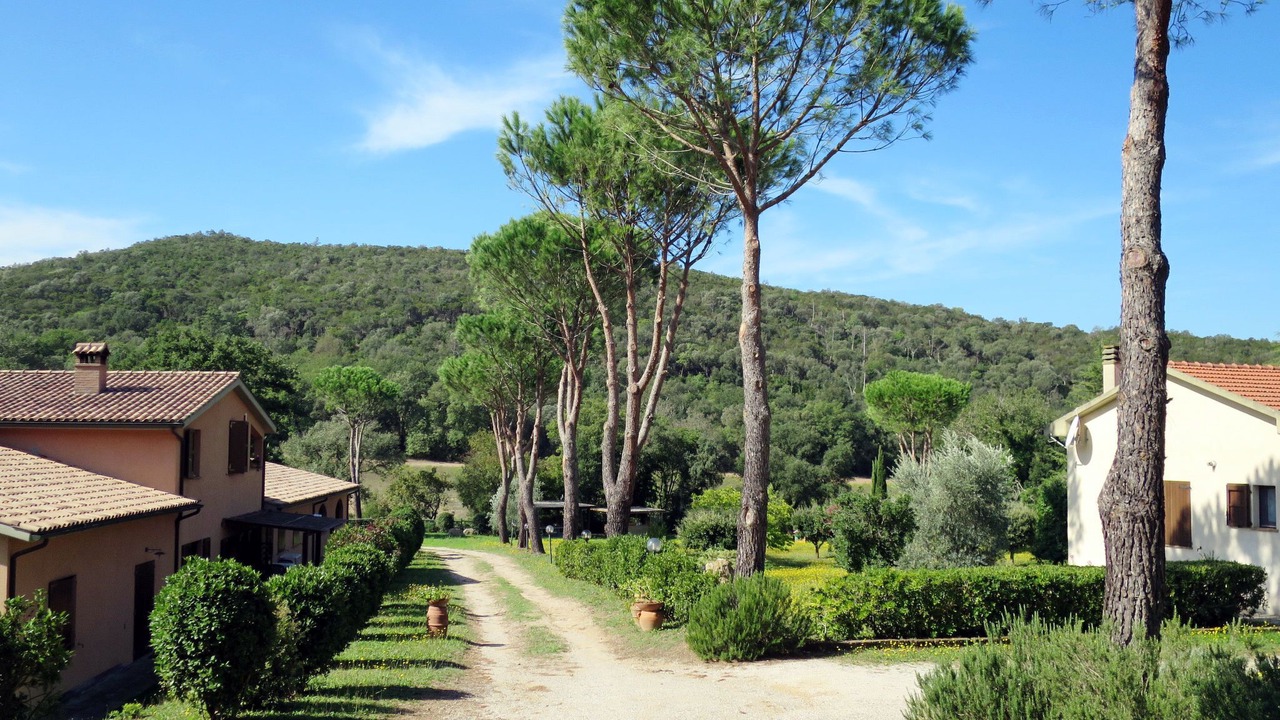Photo of Others in Montorsaio