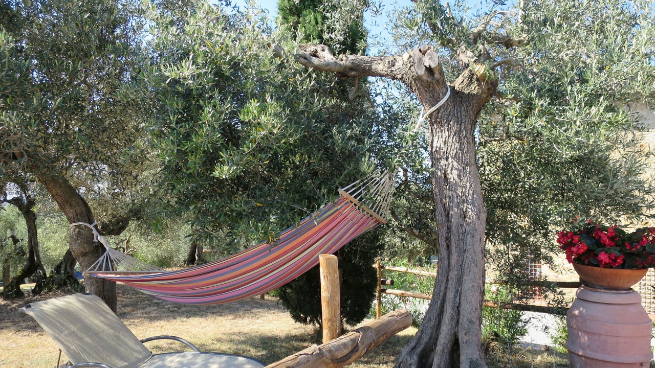 Photo of Outdoor in Teverina di Cortona
