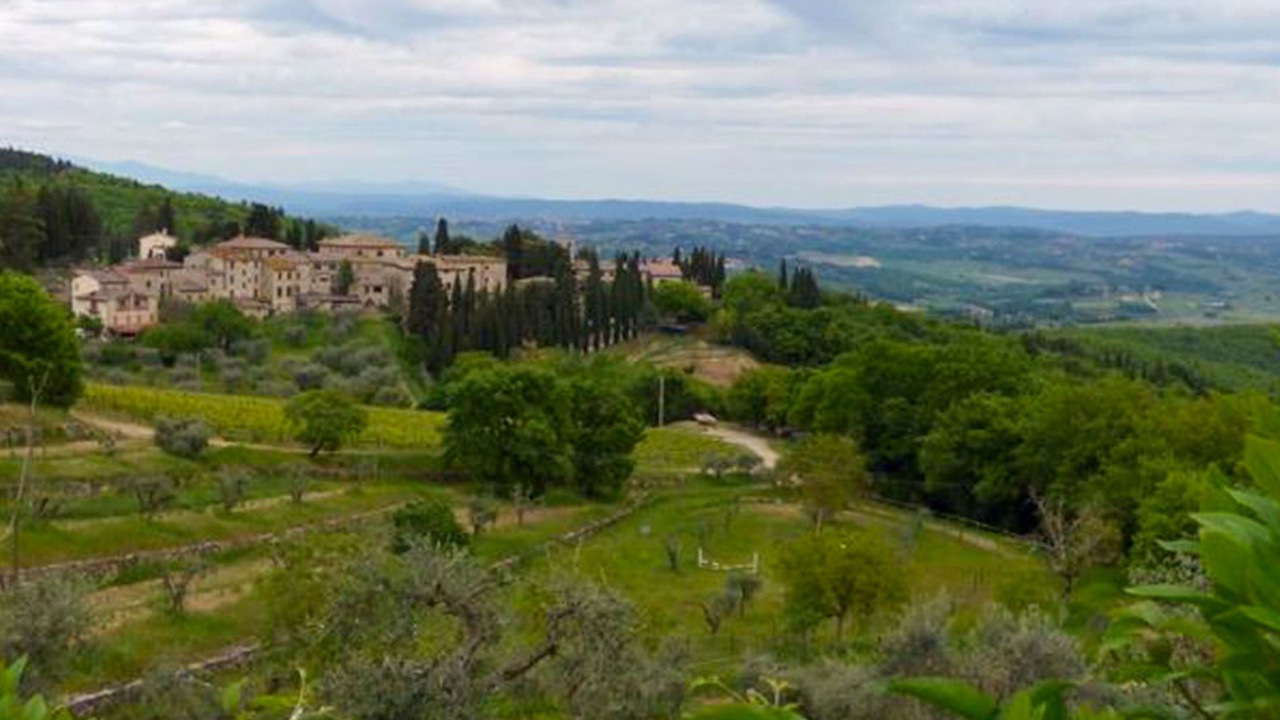 Photo of Others in Cignan Bianco