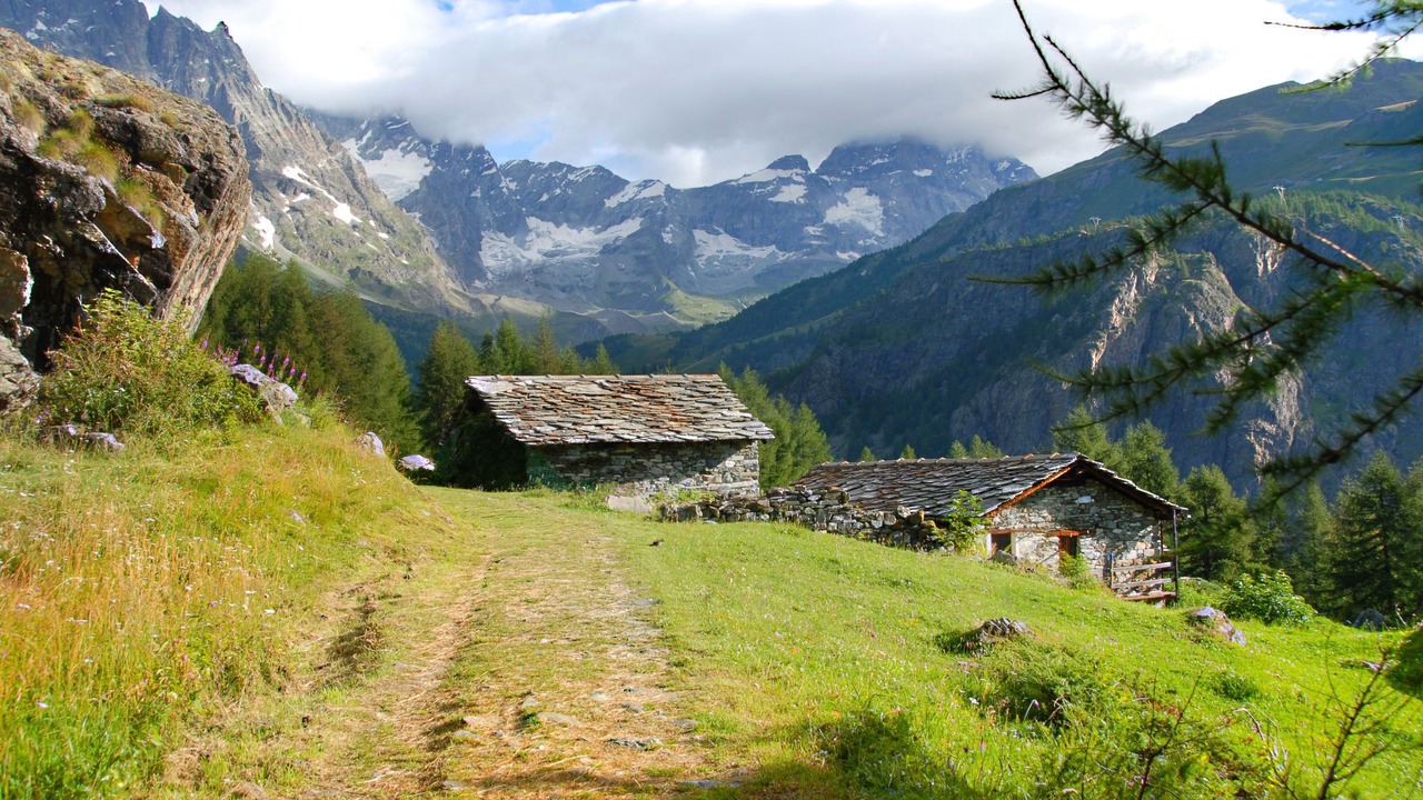 Photo of Others in Valtournenche