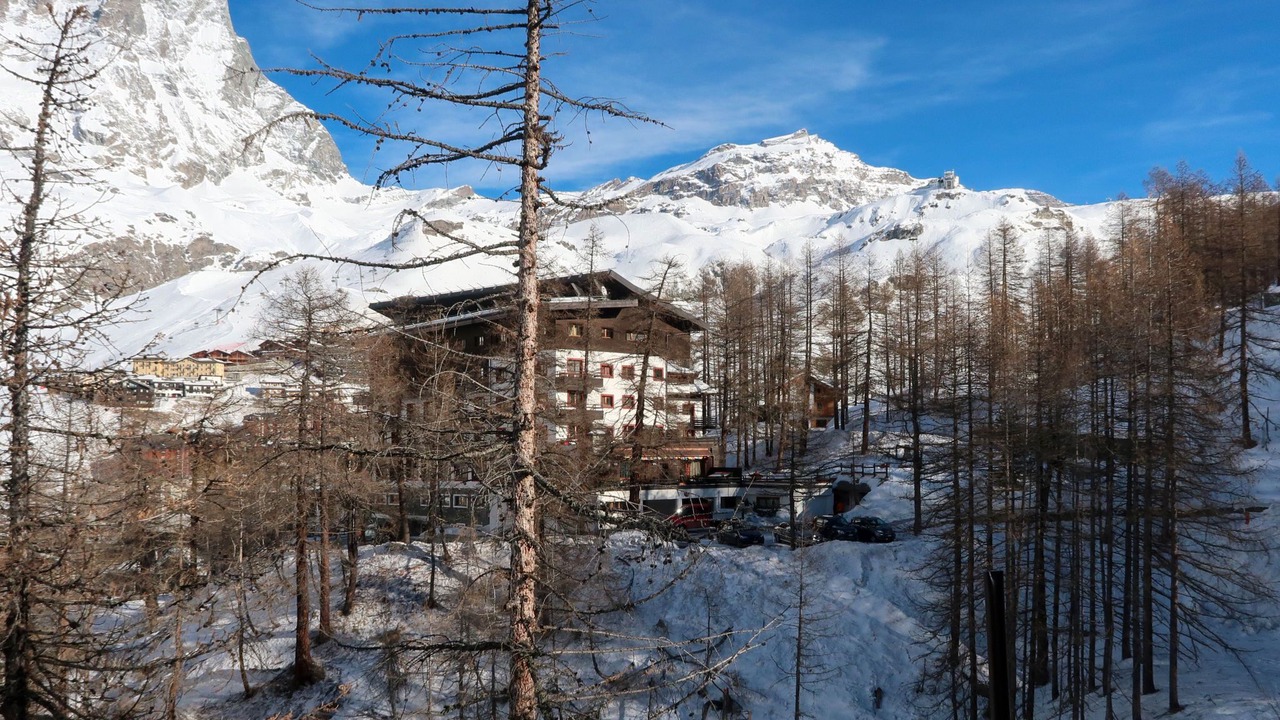 Photo of Others in Valtournenche