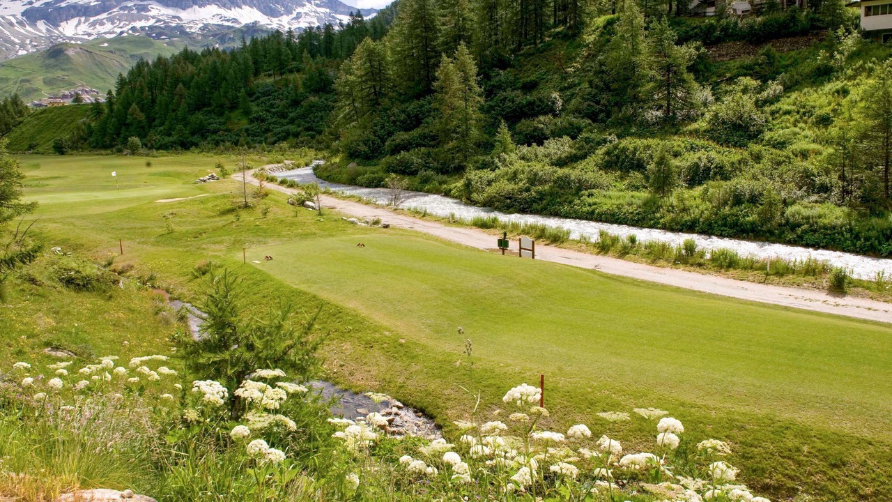 Photo of Others in Valtournenche