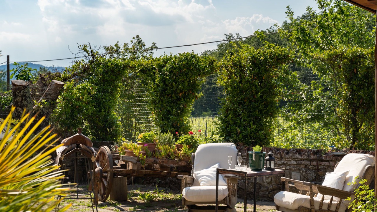 Photo of Outdoor in Twist