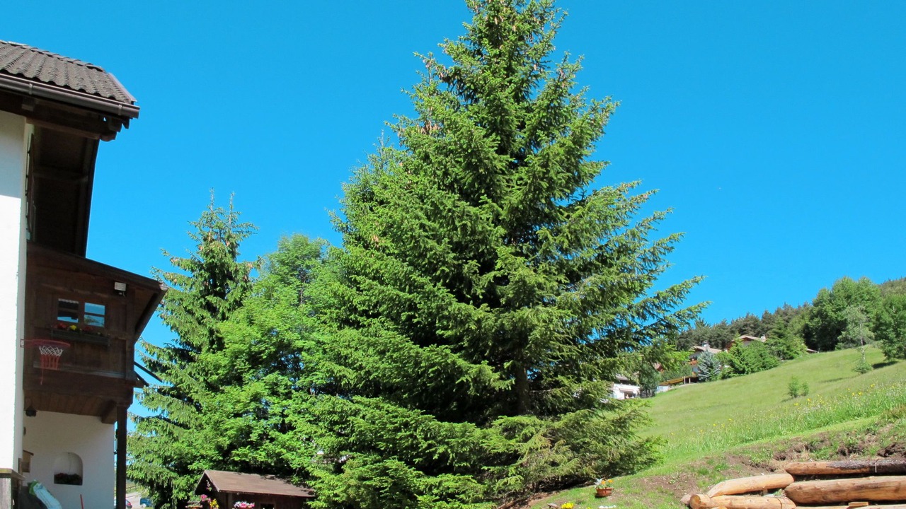 Photo of Others in Ortisei