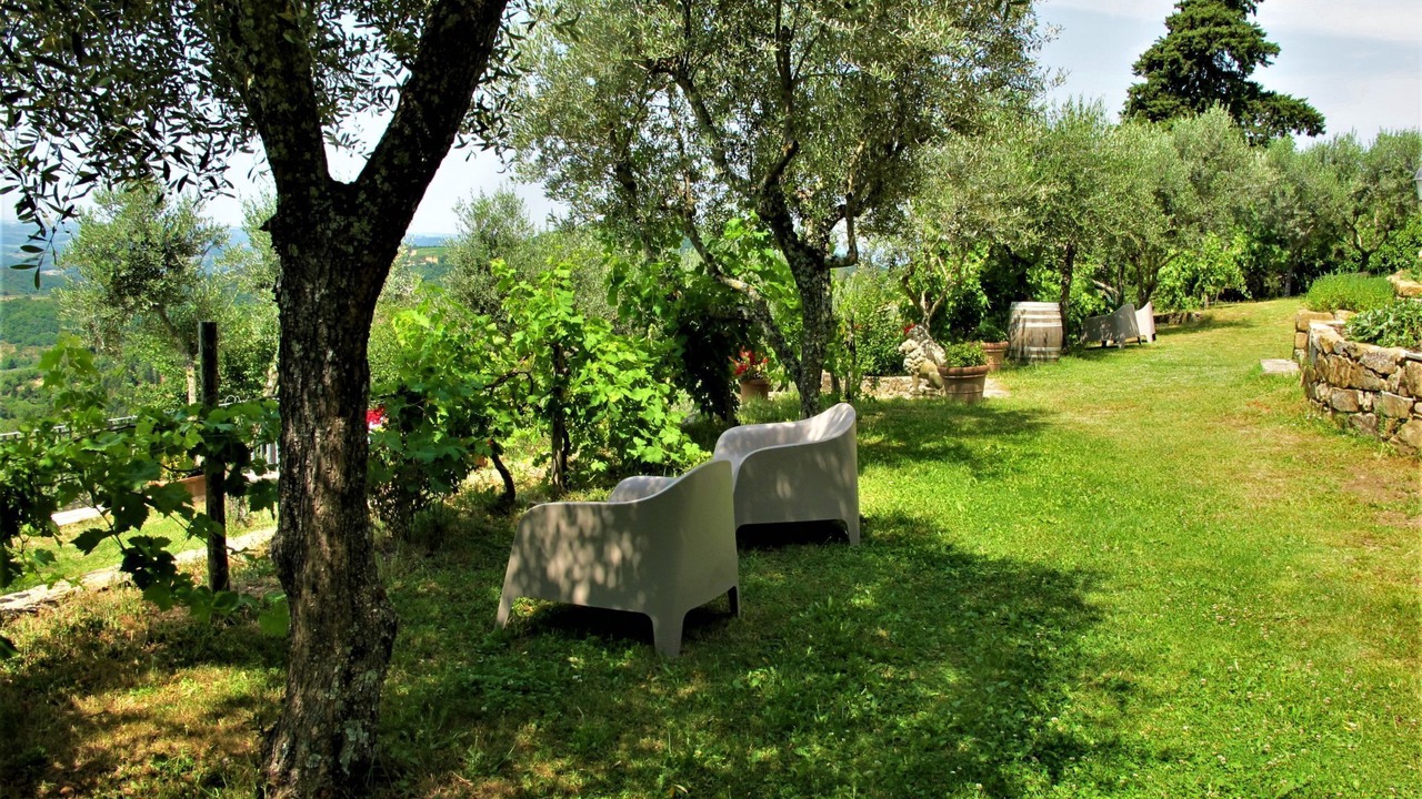 Photo of Others in Greve in Chianti